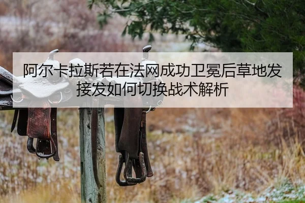 a-er-ka-la-si-ruo-zai-fa-wang-cheng-gong-wei-mian-hou-cao-di-fa-jie-fa-ru-he-qie-huan-zhan-shu-jie-xi-2-306.jpg